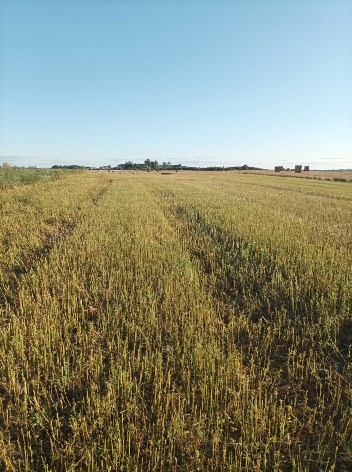 Działka budowlana Wałcz. Zdjęcie 6