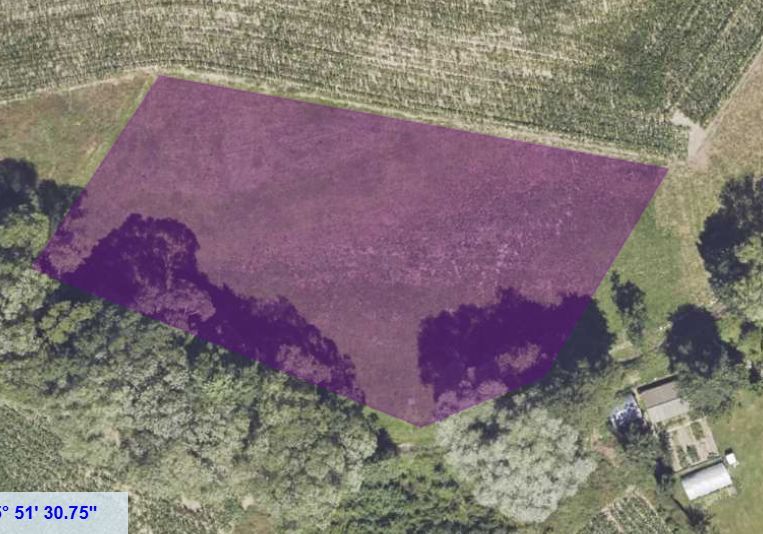 Działka siedliskowa Komarno. Zdjęcie 7