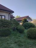 gospodarstwo Holendry Baranowskie. Zdjęcie 1