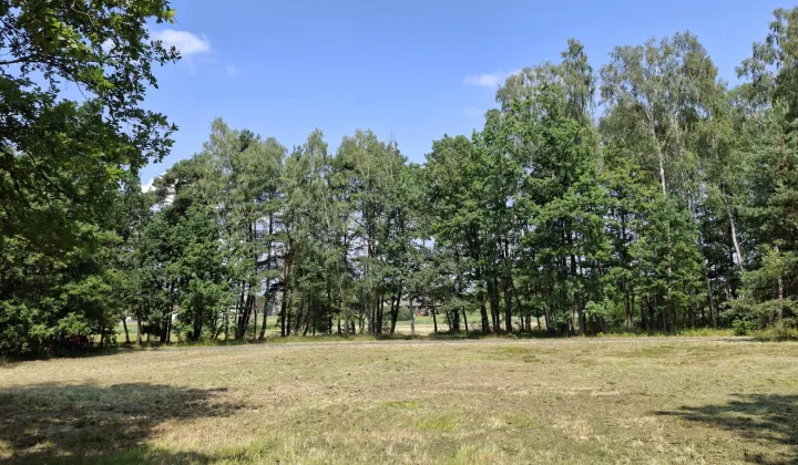 Działka budowlana Ożarowice, ul. Zawodą