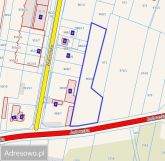 Działka inwestycyjna Lipka. Zdjęcie 2