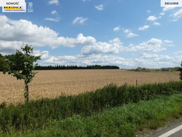 Działka budowlana Dębice. Zdjęcie 5