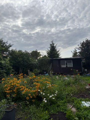 Działka rod Giżycko. Zdjęcie 1