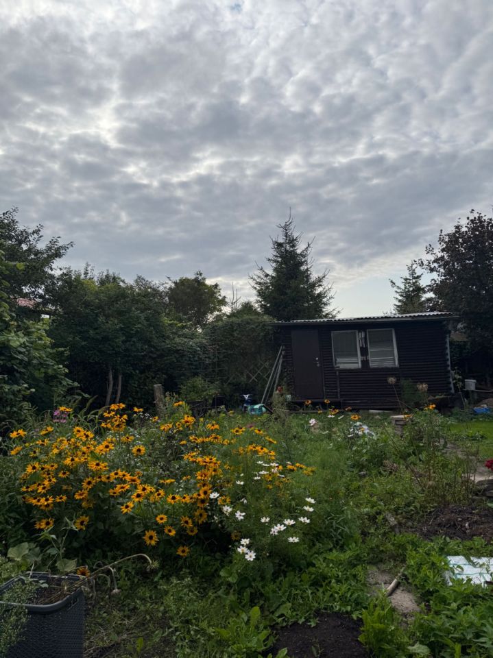 Działka rod Giżycko