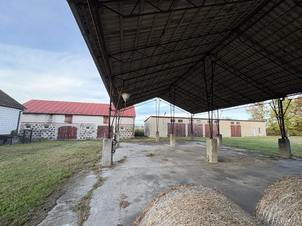 siedlisko Ostaszewo. Zdjęcie 7