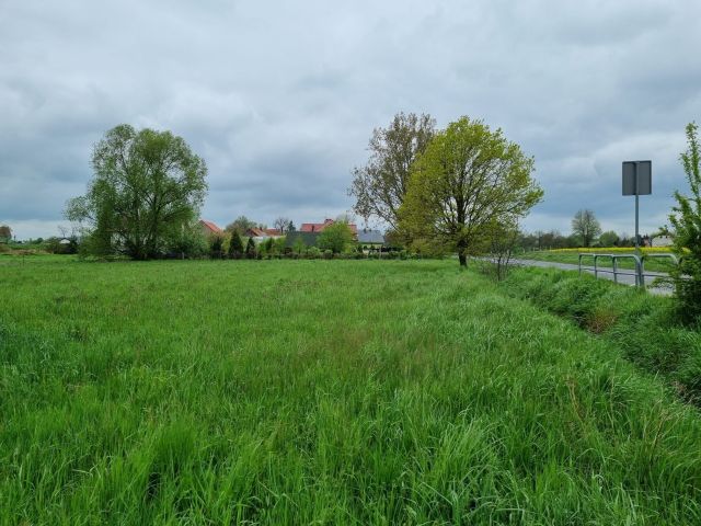 Działka budowlana Legnica. Zdjęcie 1