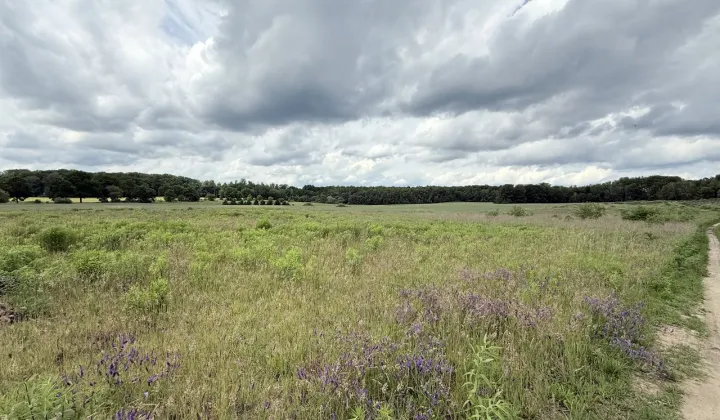 Działka rolna Kołowo