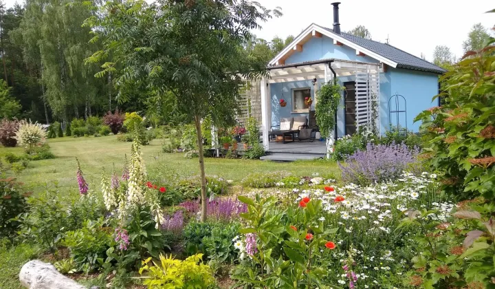 siedlisko, 1 pokój Wólka Szczawińska