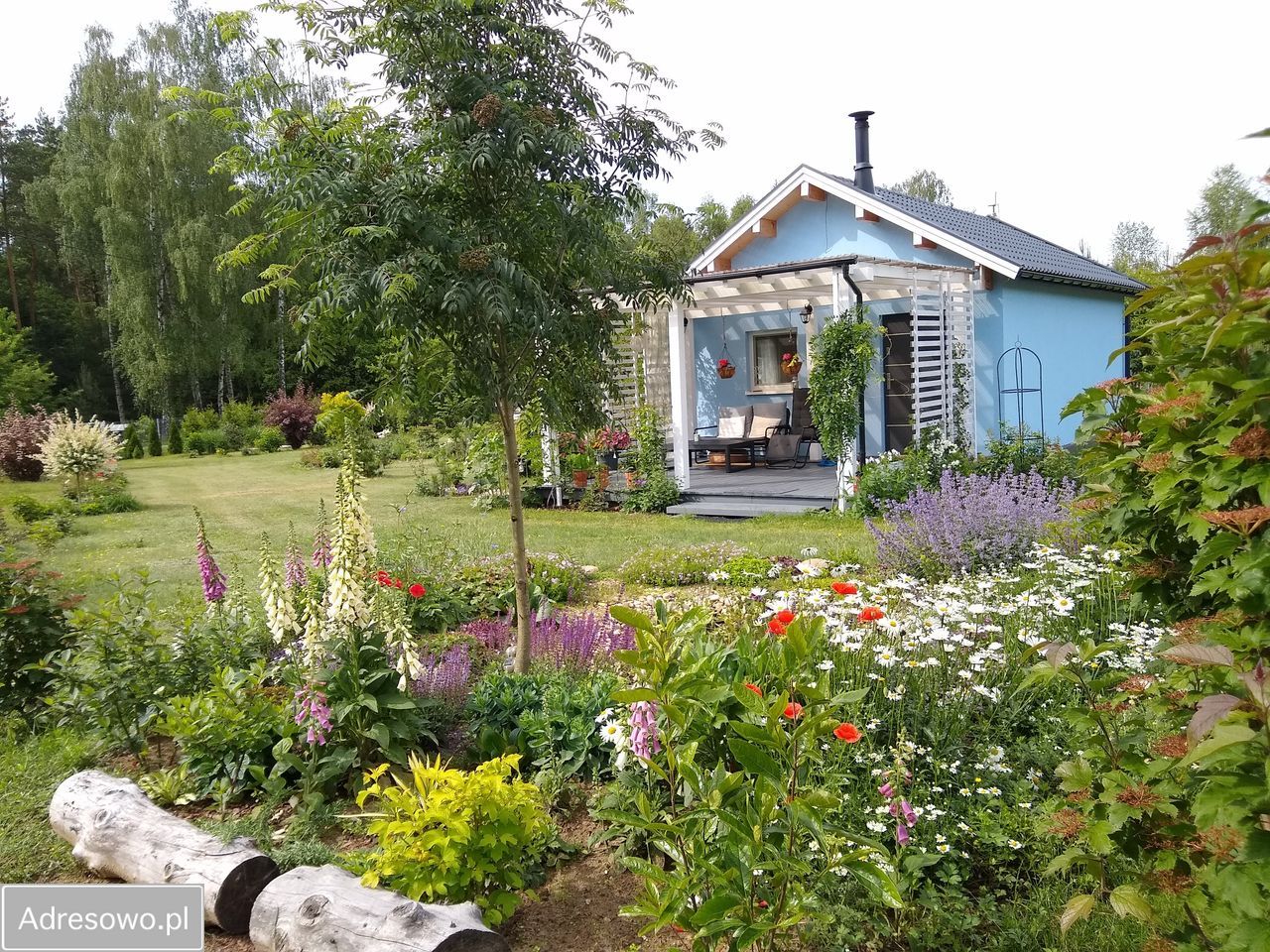 siedlisko, 1 pokój Wólka Szczawińska