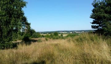 Działka inwestycyjna Studzieniec