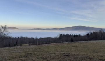 Działka inwestycyjna Lipnik