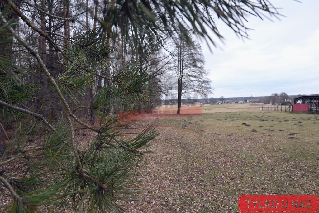 dom wolnostojący, 4 pokoje Staniszcze Wielkie. Zdjęcie 17