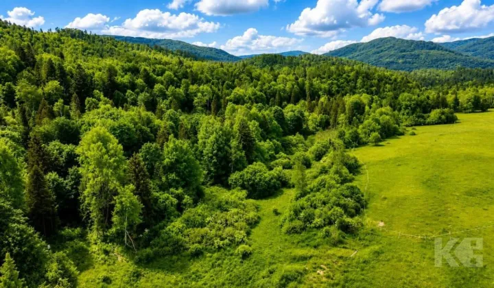 Działka budowlana Strzebowiska