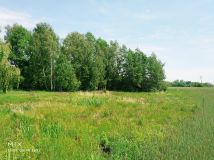 Działka siedliskowa Smolice, Smolice. Zdjęcie 4