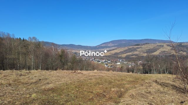 Działka rolna Kamienica. Zdjęcie 9