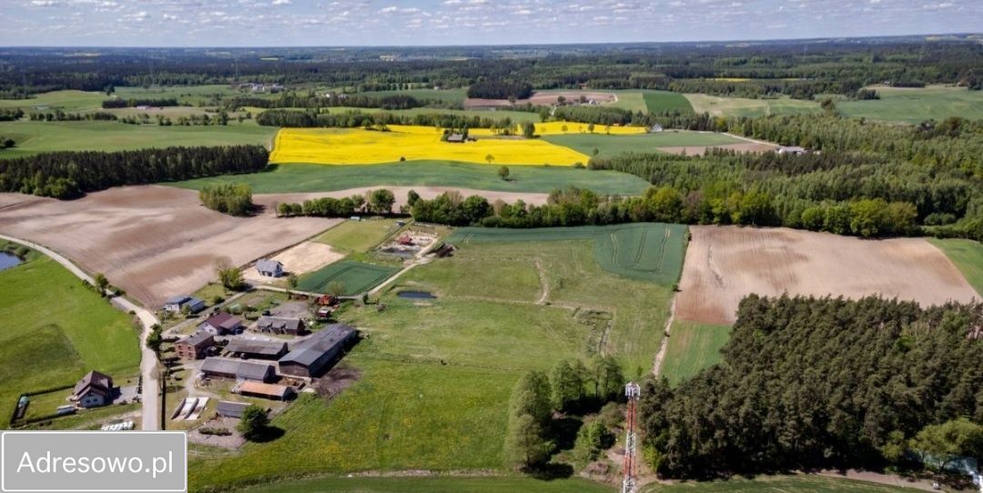 Działka budowlana Trzcińsk. Zdjęcie 2