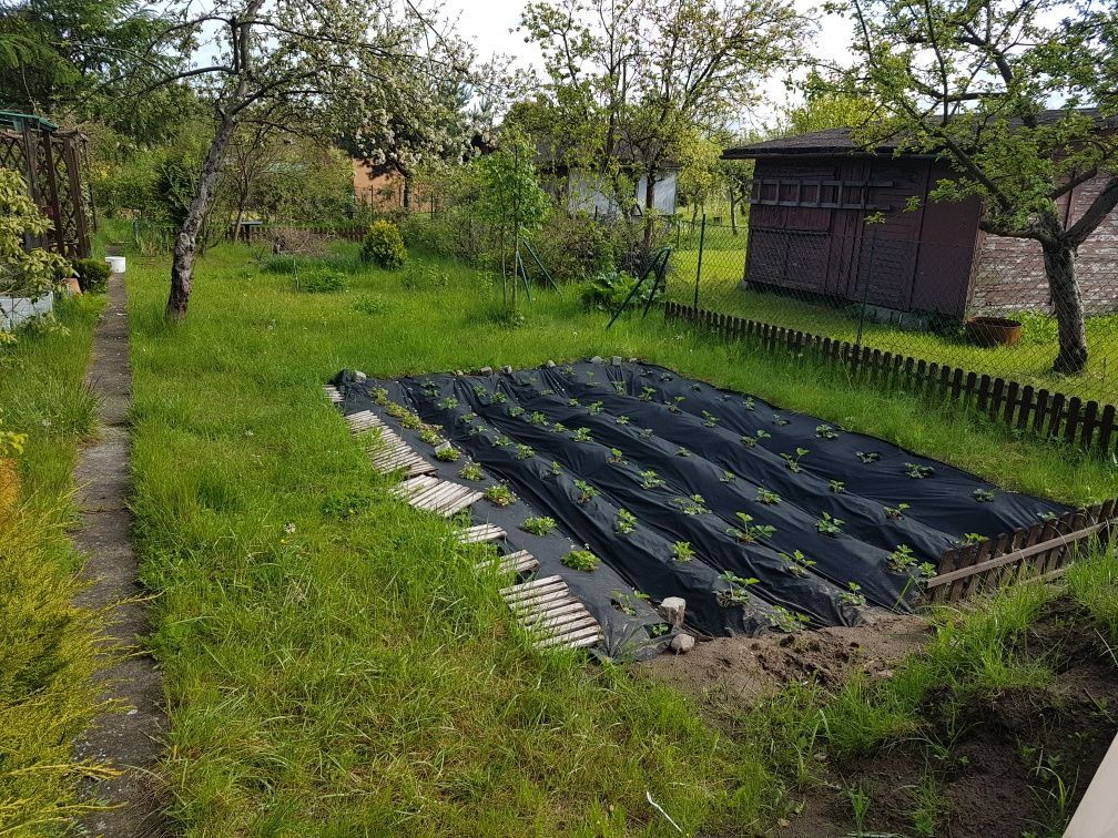 Działka rod Gdańsk Owczarnia