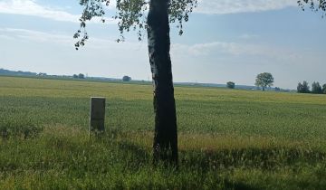 Działka budowlana Gaj Wielki, ul. Bukowska