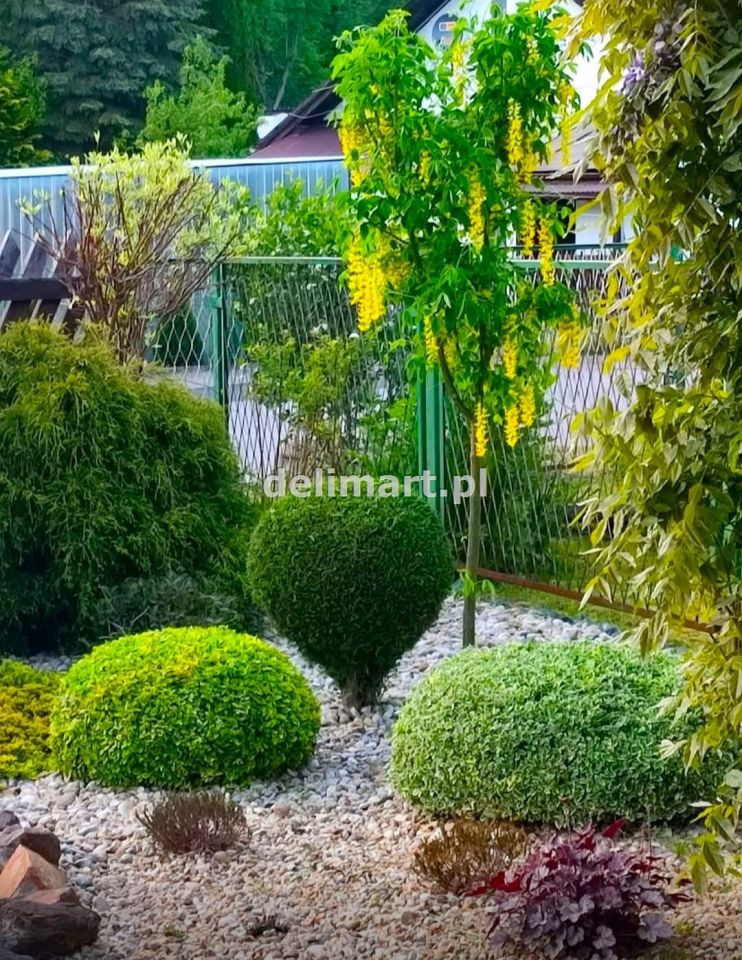 dom wolnostojący, 3 pokoje Zagórz, ul. Szeroka. Zdjęcie 31