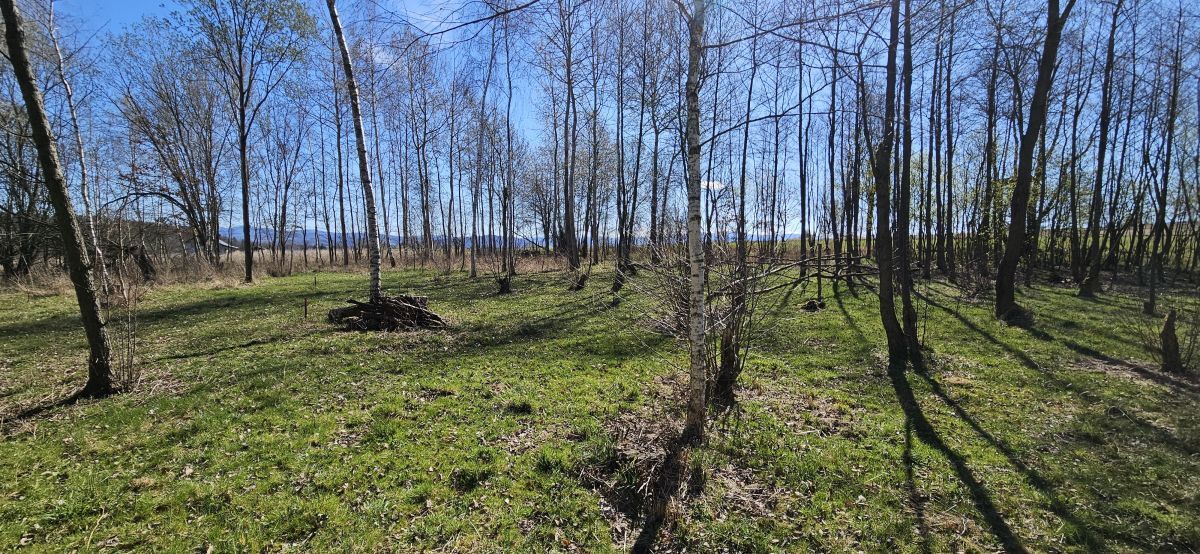 Działka budowlana Stary Wielisław. Zdjęcie 11