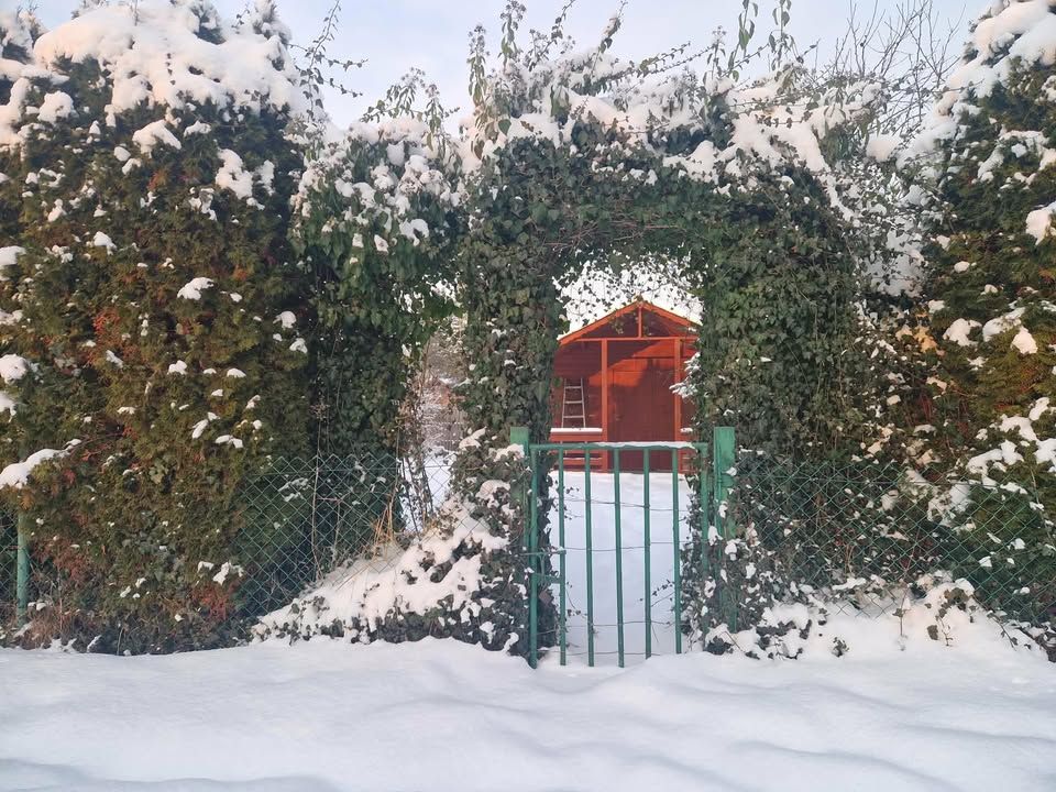 Działka rod Granica, ul. Barbary. Zdjęcie 11