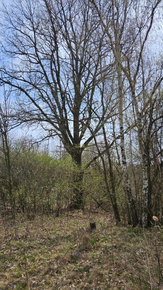 Działka rolno-budowlana Ulina Wielka. Zdjęcie 3