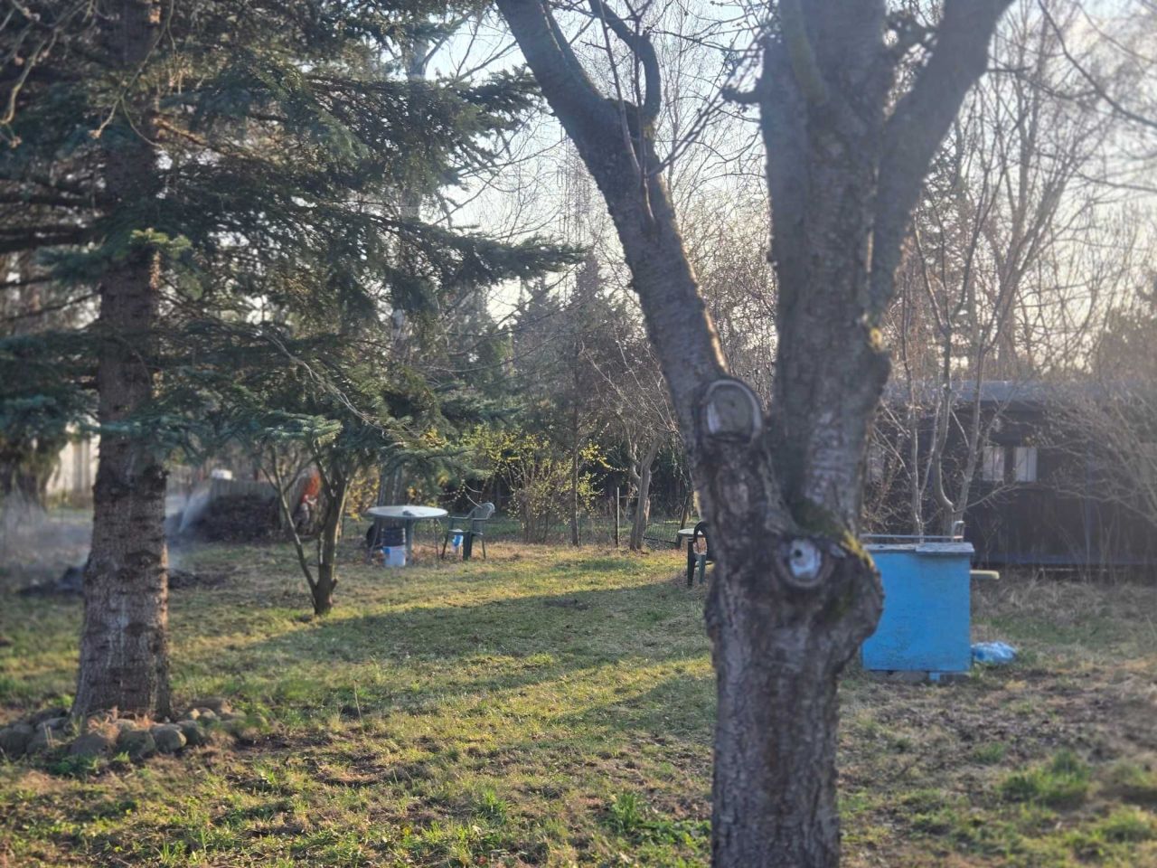 Działka rod Ząbki, ul. Klamrowa. Zdjęcie 4