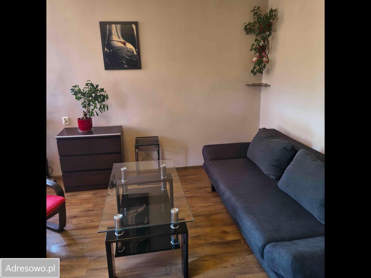 Mieszkanie 1-pokojowe Mysłowice, ul. Katowicka. Zdjęcie 1