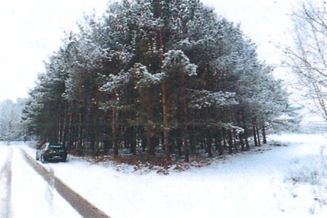 Działka rolna Śladów, brak. Zdjęcie 13