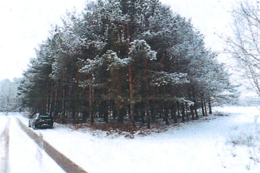 Działka rolna Śladów, brak. Zdjęcie 13