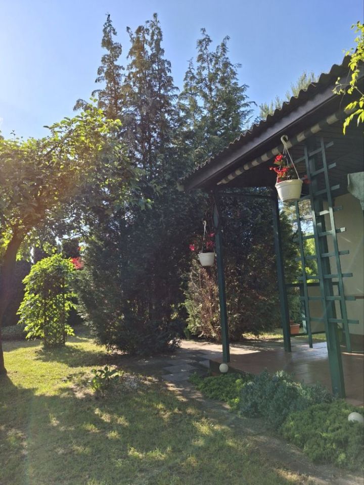 Działka rod Szałe, ul. Akacjowa. Zdjęcie 8