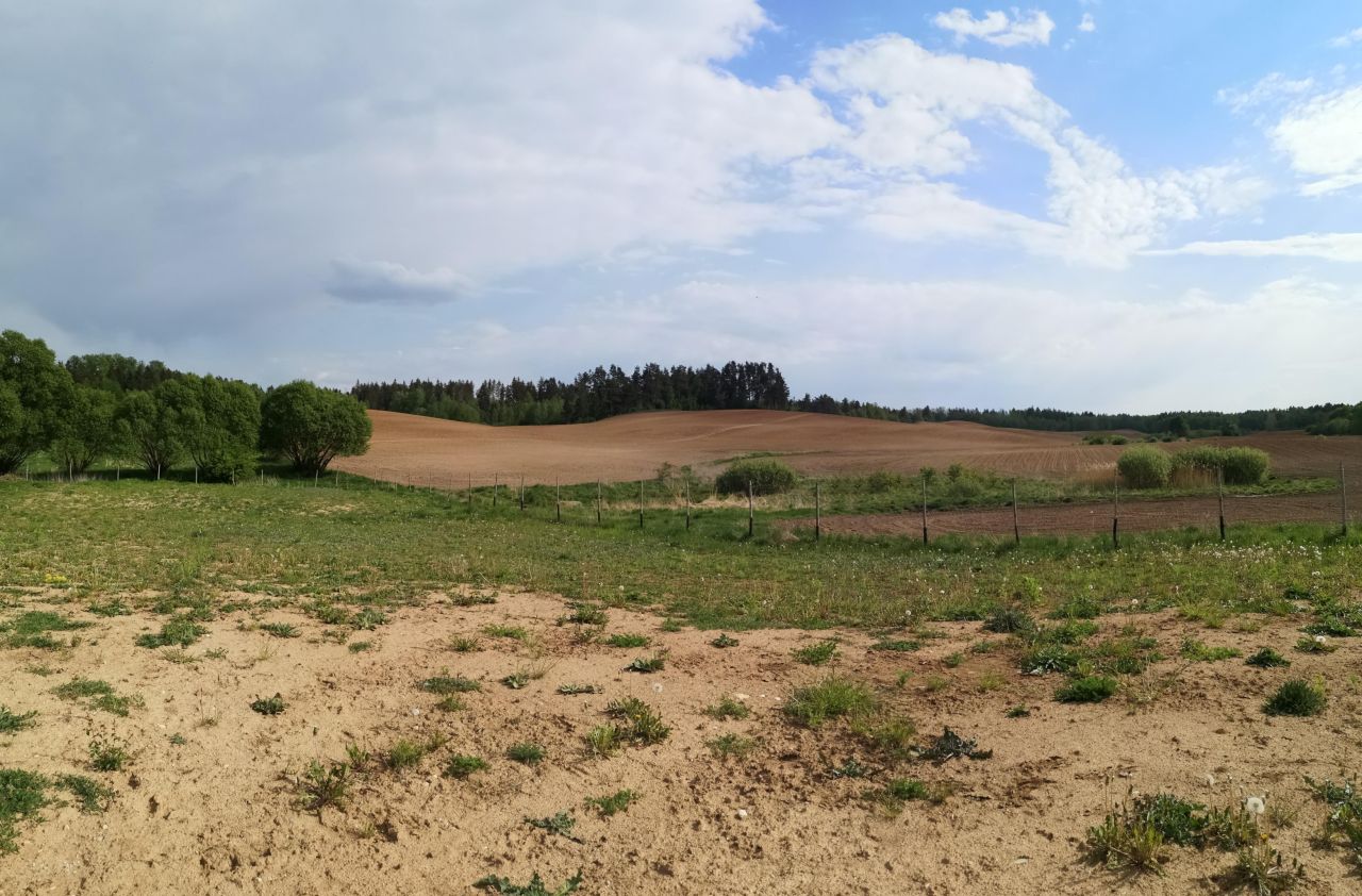 Działka rolno-budowlana Malinówka Wielka. Zdjęcie 3