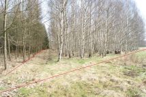 Działka rolno-budowlana Krzeszów. Zdjęcie 2