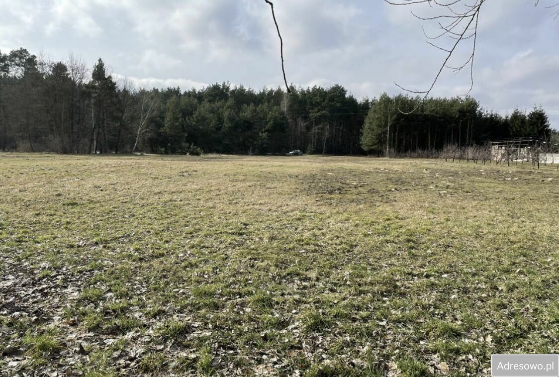 Działka rolno-budowlana Krzcin. Zdjęcie 6