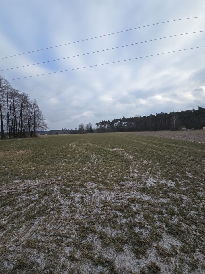 Działka rolna Pieczyska. Zdjęcie 6