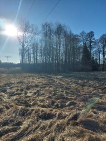 Działka rolna Gruszka. Zdjęcie 1