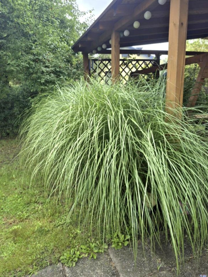 Działka rekreacyjna Zabrze, ul. Opawska. Zdjęcie 13