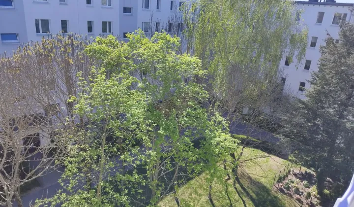 Mieszkanie 4-pokojowe Poznań Piątkowo, os. Bolesława Śmiałego