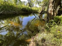 Działka rolno-budowlana Idzbark Idzbarski Młyn. Zdjęcie 2