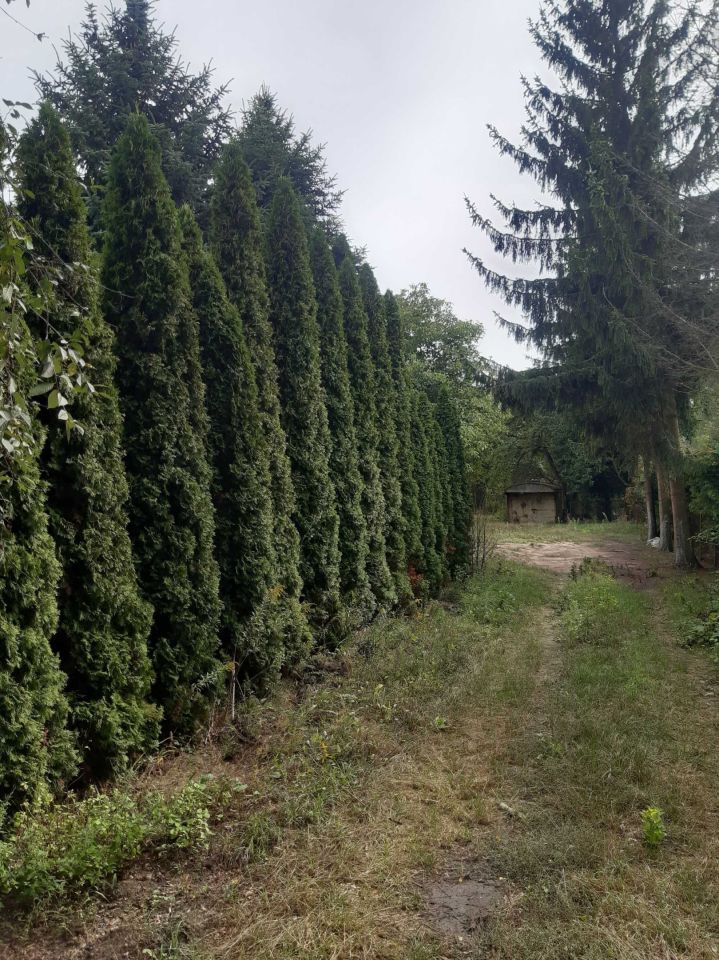 Działka budowlana Łuków, ul. Wójtostwo. Zdjęcie 2