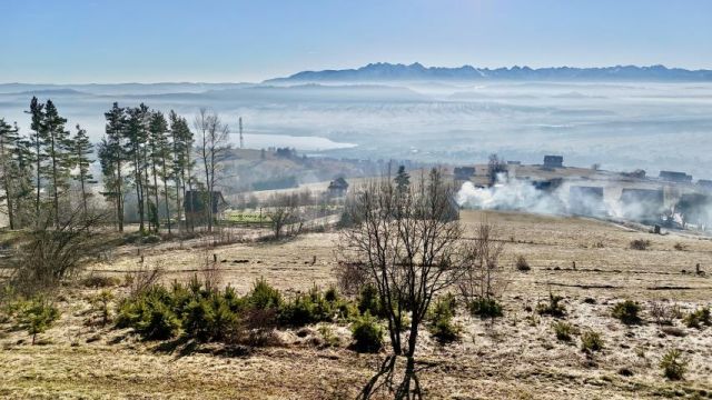 Działka rekreacyjna Szlembark, ul. Słoneczna. Zdjęcie 6
