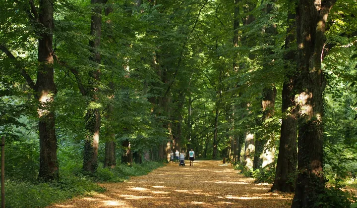 Mieszkanie 3-pokojowe Wrocław Grabiszyn, al. gen. Józefa Hallera