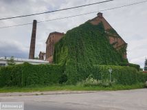 Nieruchomość komercyjna Lgiń. Zdjęcie 2