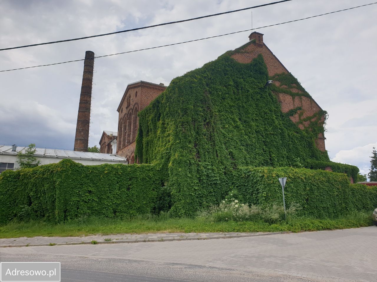 Nieruchomość komercyjna Lgiń. Zdjęcie 3
