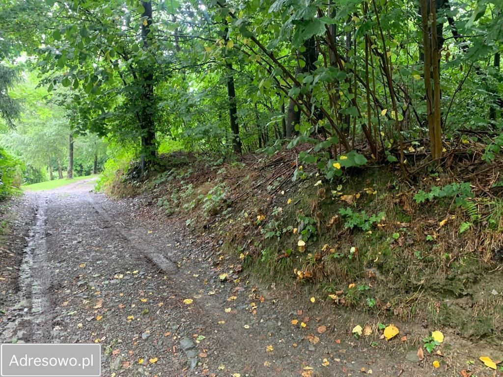 Działka budowlana Jarnołtówek. Zdjęcie 6