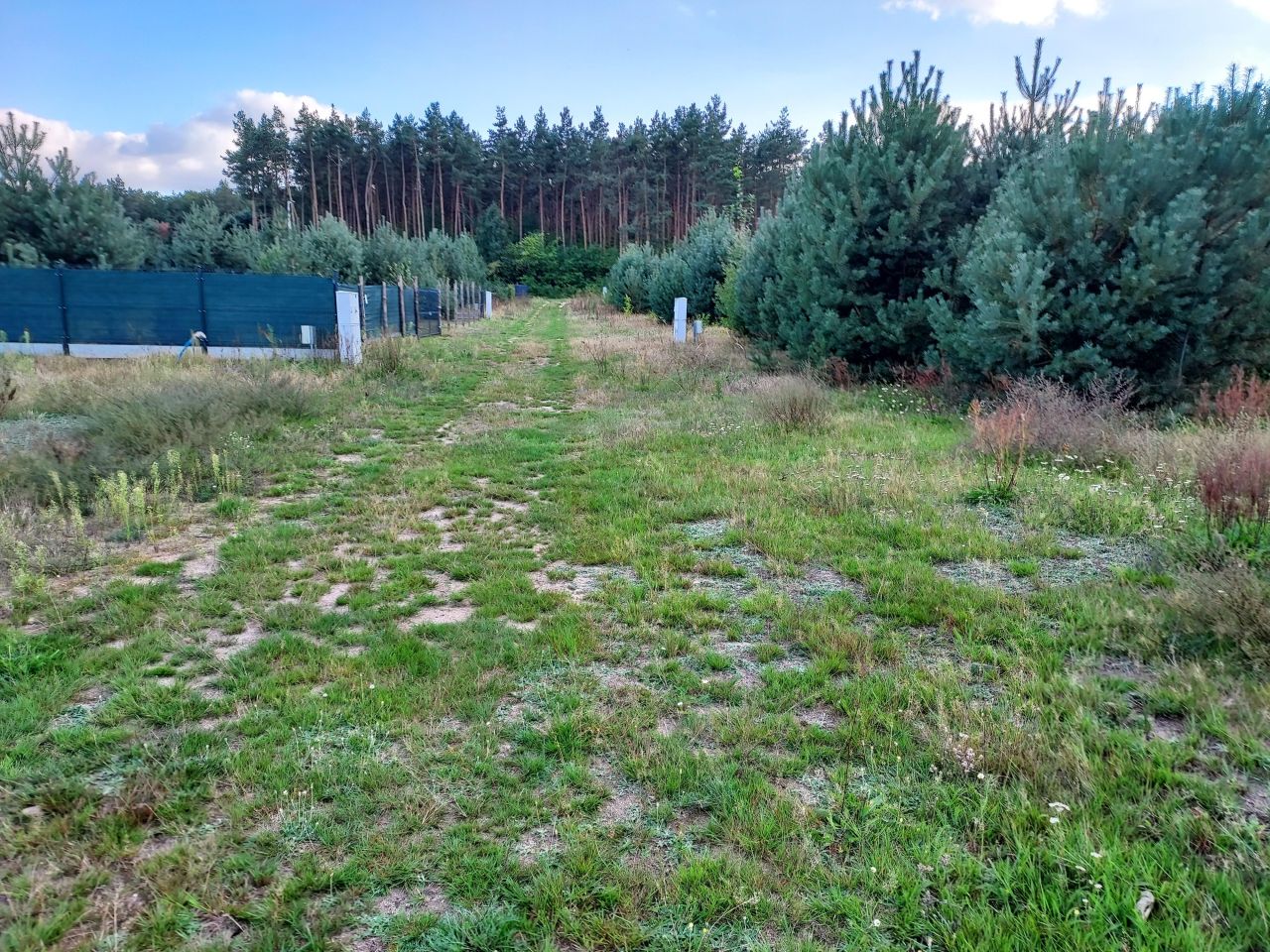 Działka budowlana Marżynek. Zdjęcie 5