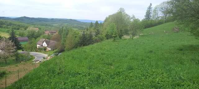 Działka budowlana Jaszkowa Górna. Zdjęcie 1