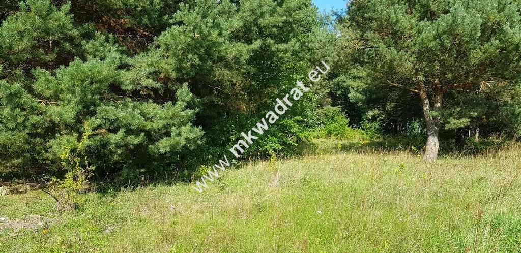 Działka budowlana Książenice. Zdjęcie 4