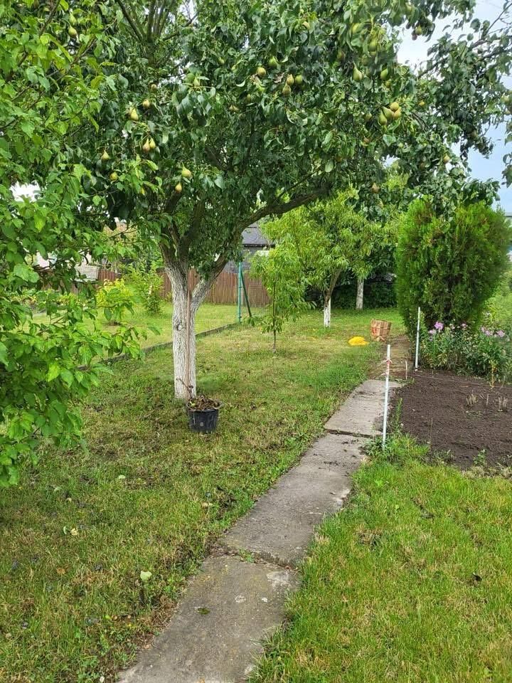 Działka rod Siechnice, ul. Lwowska. Zdjęcie 3