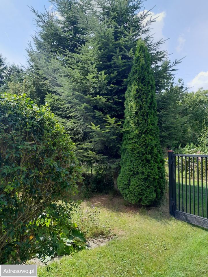 Działka rod Warszawa Mokotów, ul. Dłutowska. Zdjęcie 9